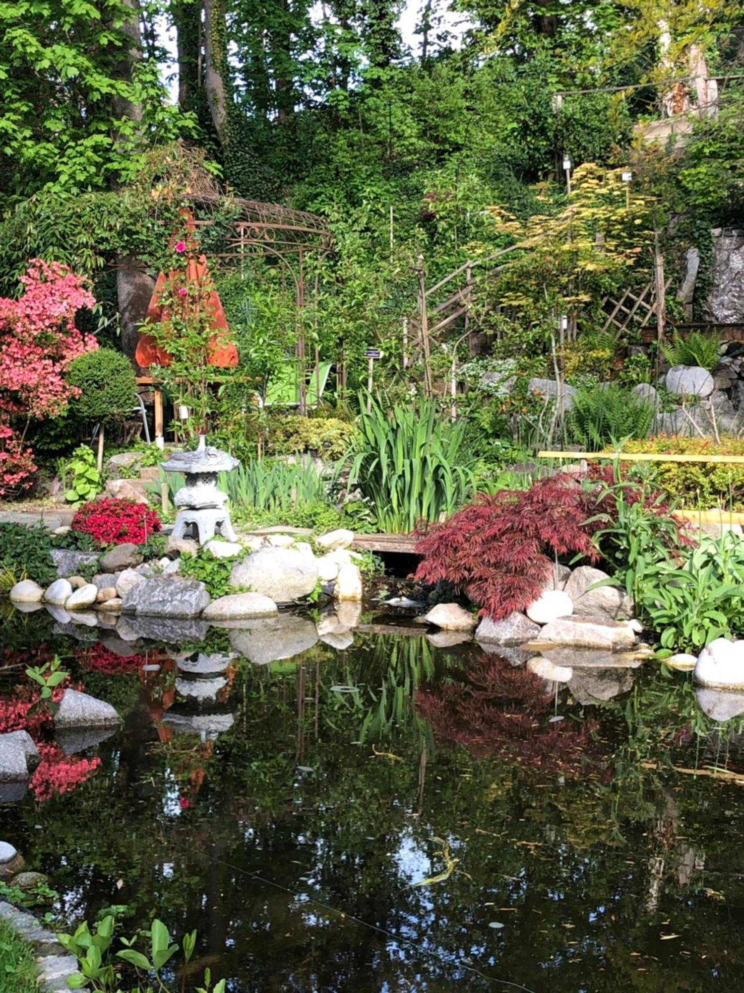 德拉杜伊勒里花园住宿加早餐旅馆 Pfastatt 外观 照片