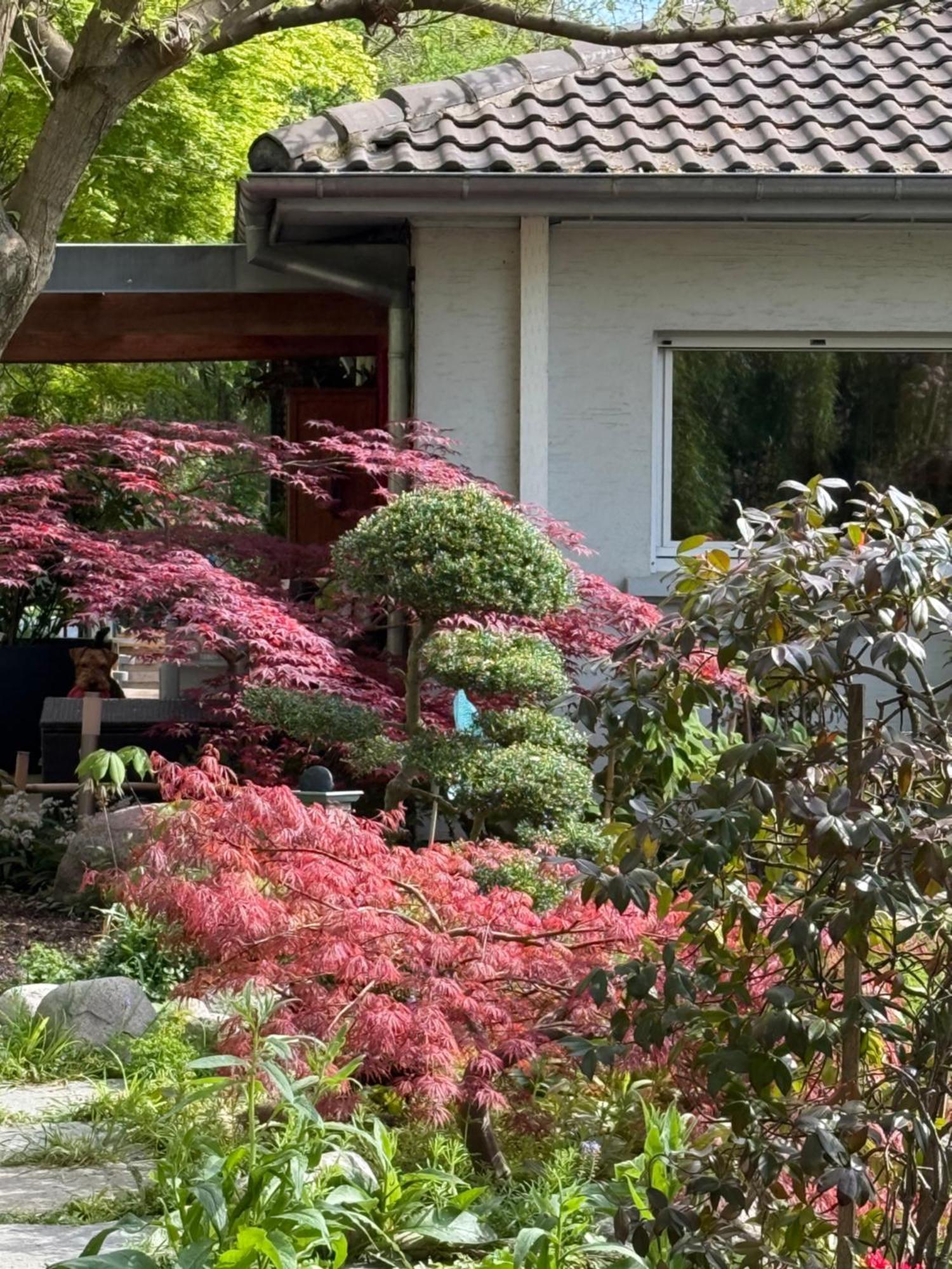德拉杜伊勒里花园住宿加早餐旅馆 Pfastatt 外观 照片